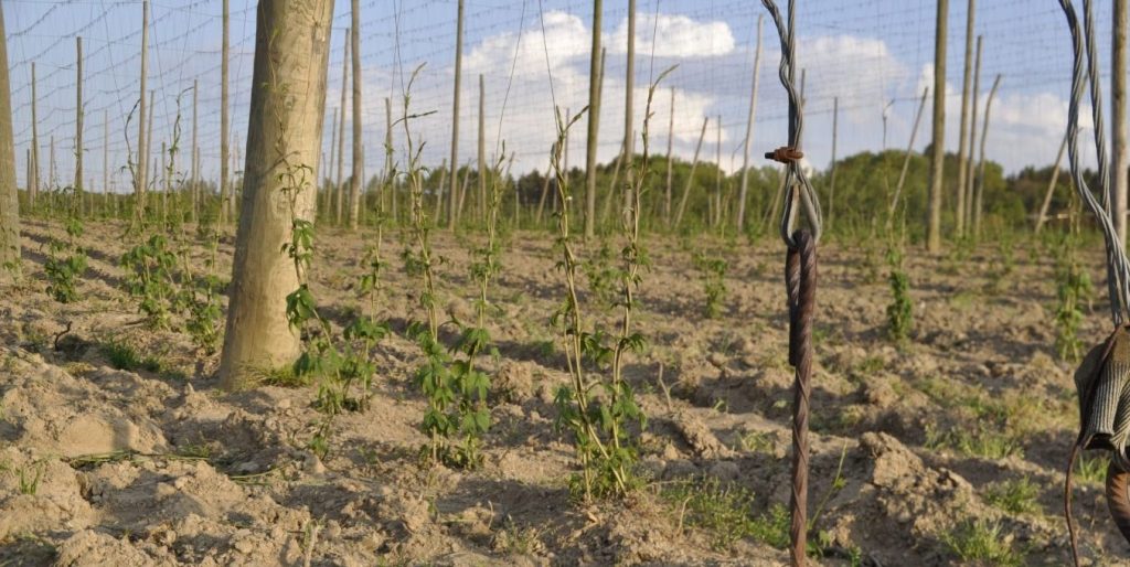 01_Mai_2002_Foto-VDH-scaled- größe geändert